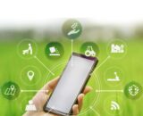 গ্রীন বল - 4